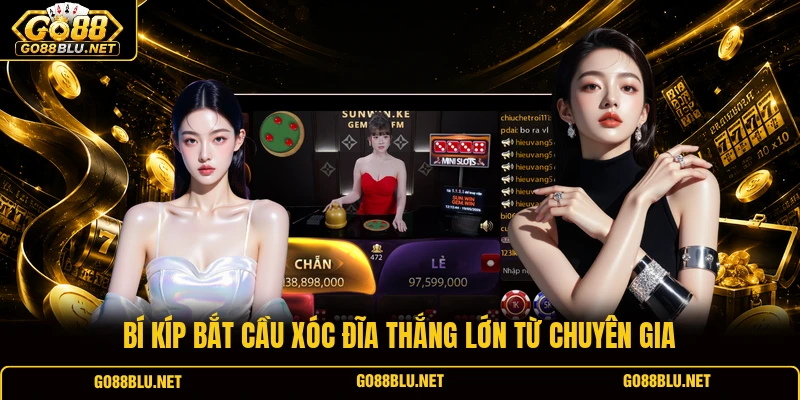 Bí kíp bắt cầu xóc đĩa thắng lớn từ chuyên gia