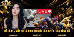 Đá Gà C1 - Màn So Tài Đỉnh Cao Của Các Huyền Thoại Lông Vũ