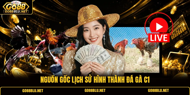 Nguồn gốc lịch sử hình thành đá gà C1