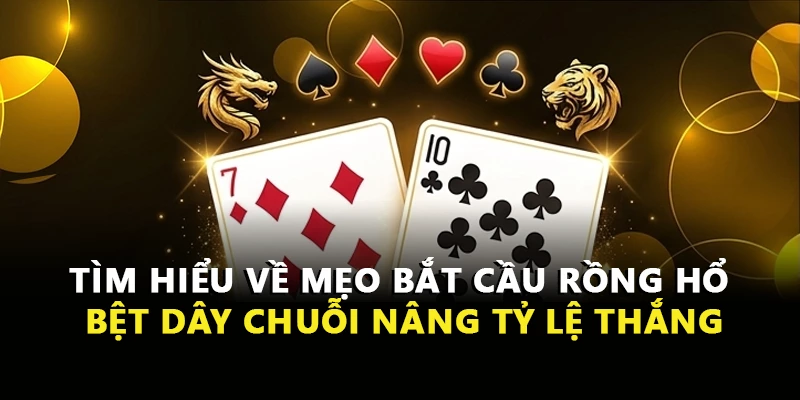 Tìm hiểu về mẹo bắt cầu Rồng Hổ bệt dây chuỗi nâng tỷ lệ thắng