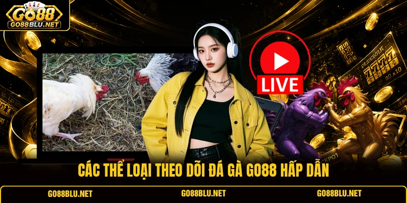 Các thể loại theo dõi đá gà GO88 hấp dẫn