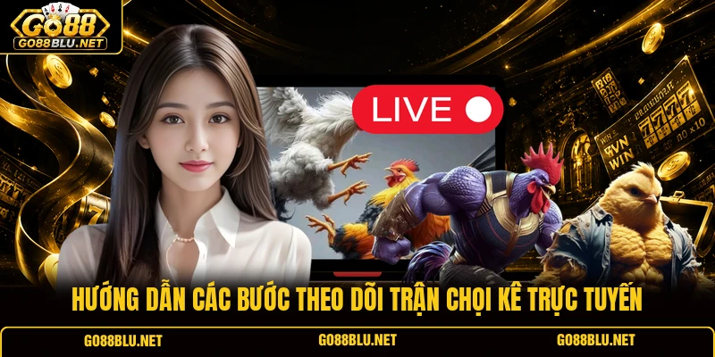 Hướng dẫn các bước theo dõi trận chọi kê trực tuyến