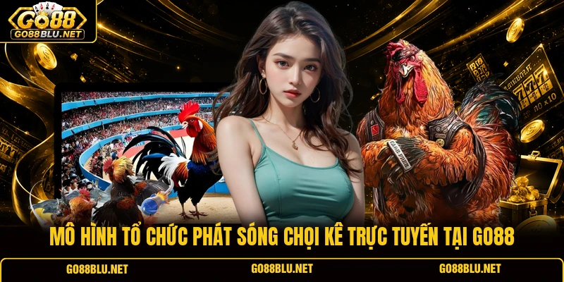 Mô hình tổ chức phát sóng chọi kê trực tuyến tại GO88